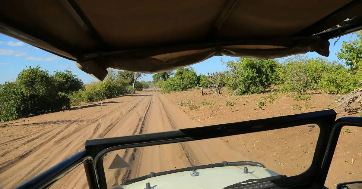 kruger-park-safaris-game-drive