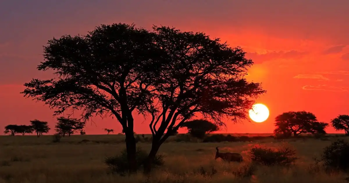 planning-your-journey-from-the-usa-to-South-africa