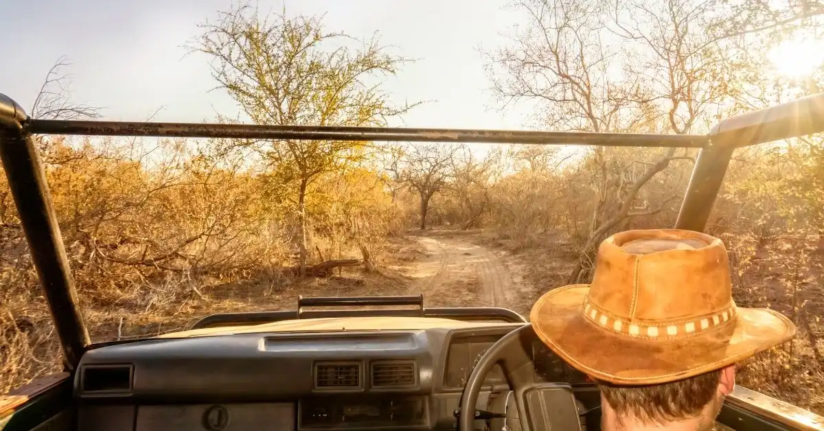 african-safari-quide