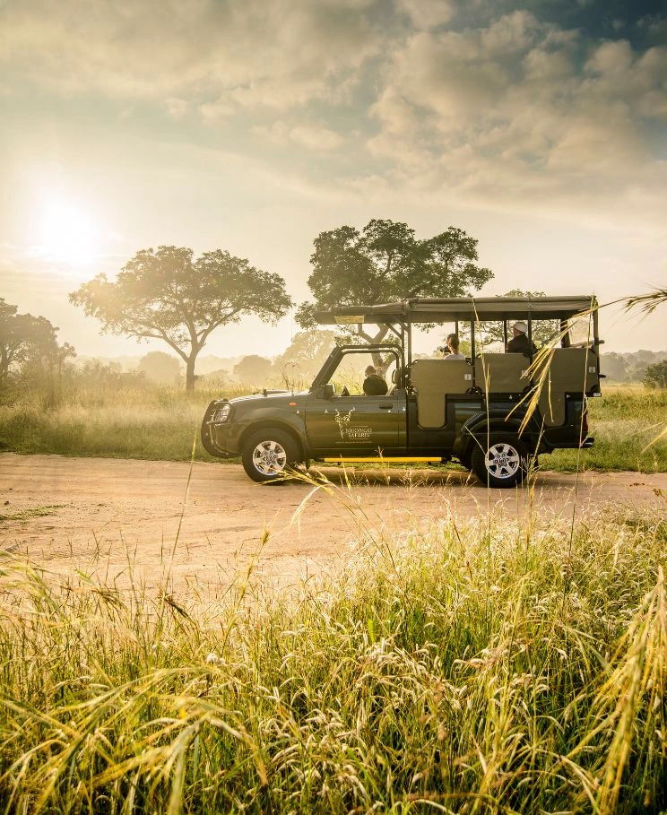 guided-kruger-safaris-with-nhongo-safaris