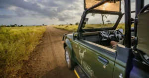 Full Day Kruger Park Safari