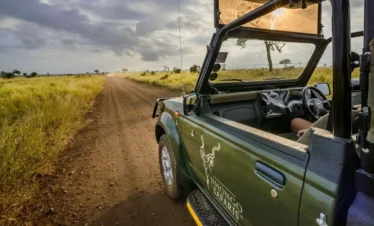 Full Day Kruger Park Safari