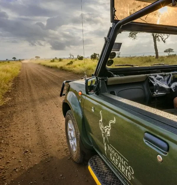 Full Day Kruger Park Safari