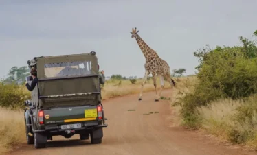 Half Day Kruger Park Safari - Big 5 Open Vehicle Excursion from Hazyview